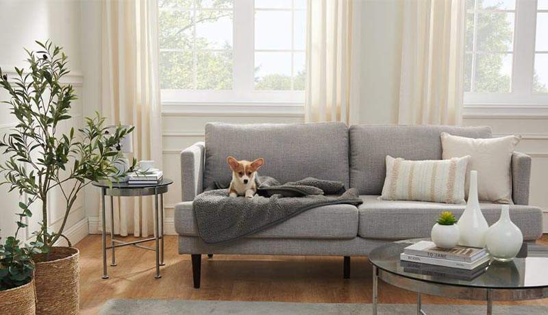 راهنمای جامع انتخاب مبلمان سازگار با حیوانات خانگی